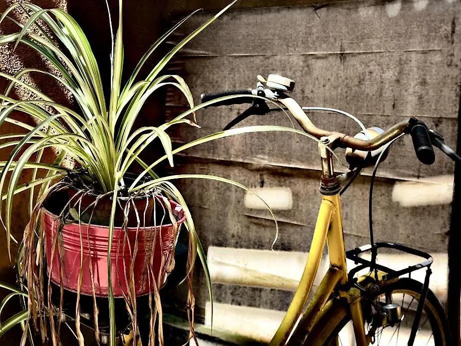 Apartment Maya Rhome Trastevere Rome
